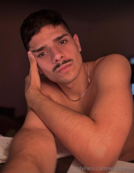 Wilsonn B pornstar beautiful pics