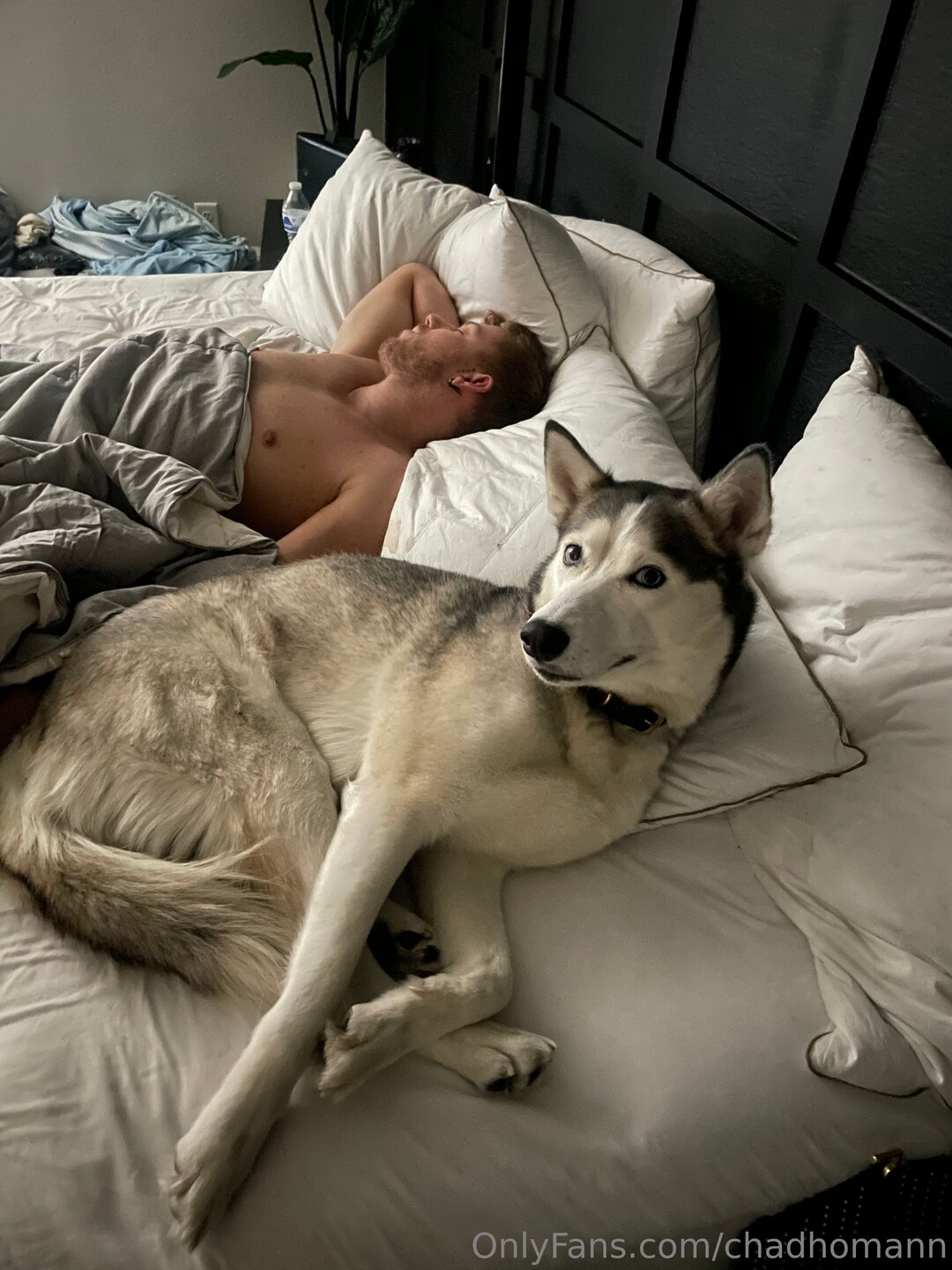Chadhomann star pornographic pics