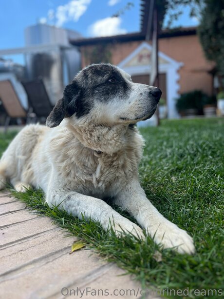 summer free onlyfans best archive