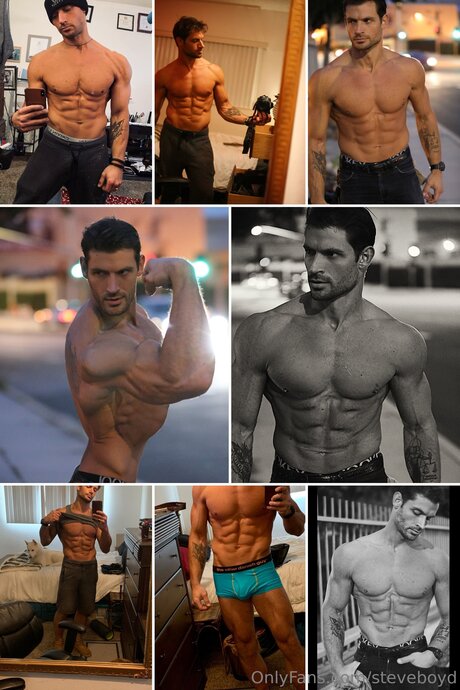 Steveboyd star hd galleries