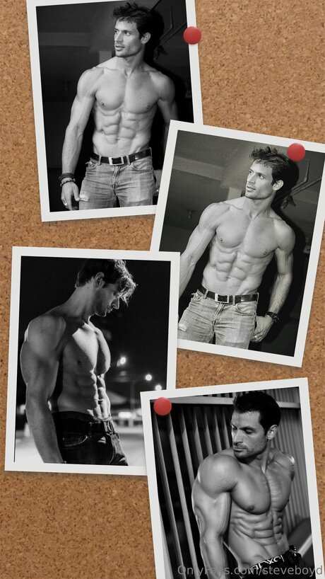 Steveboyd model best galleries