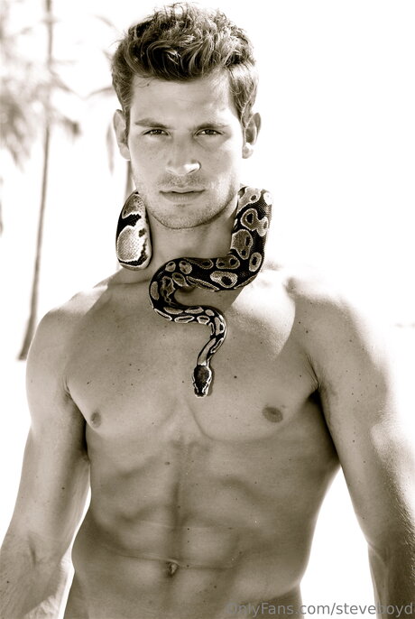 Steveboyd erotic star img