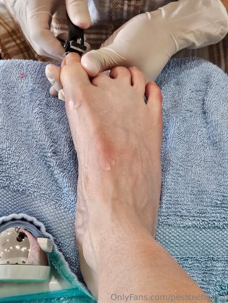 Pesttechgirl 1 model high quality photo