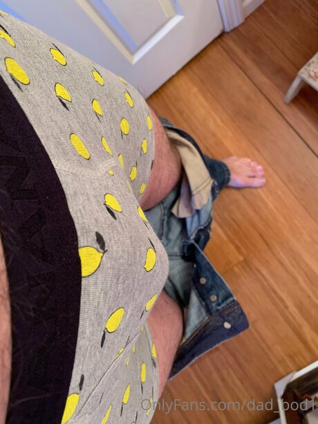 Dad Bod1 nude actress image