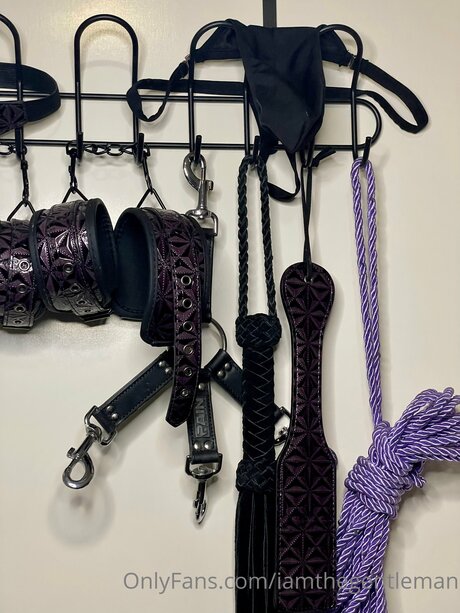 Iamthegentleman art actress pics