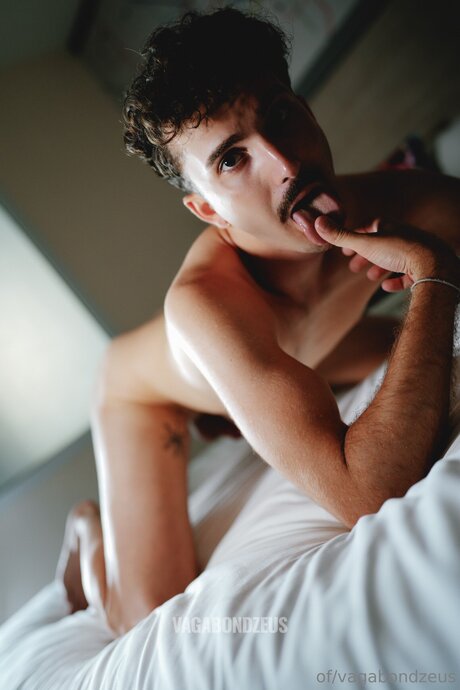 Vagabondzeus nice pornstar galleries