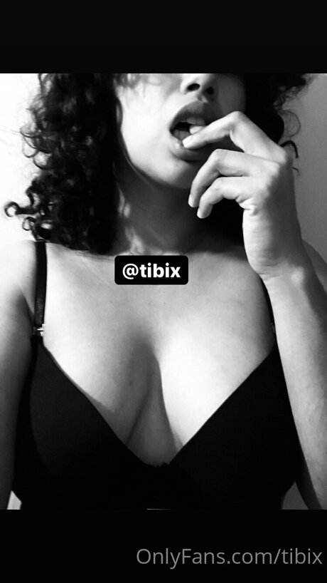 Tibix high quality model picture