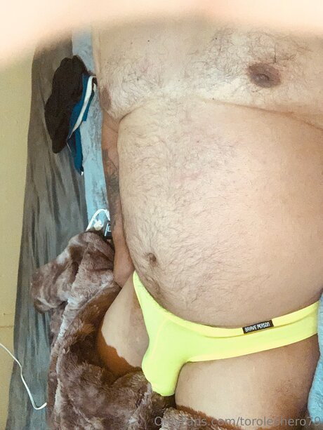 Torolechero79 best model img