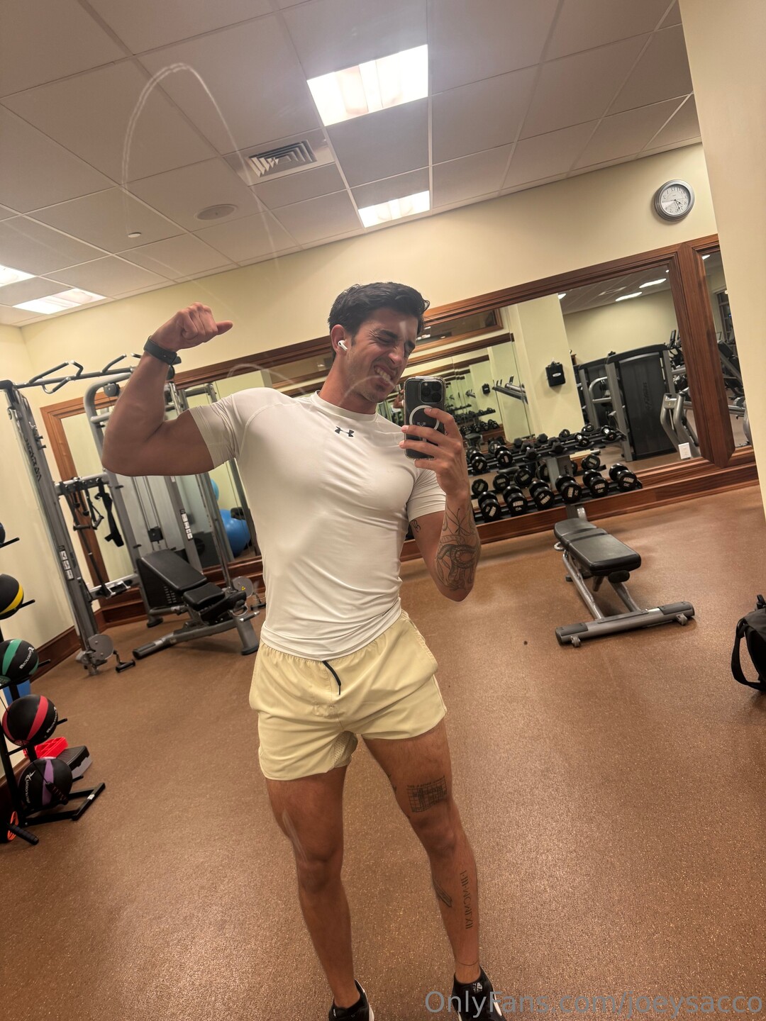 Joeysacco pornstar top archive