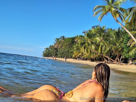 Adore Annaliisa porn actress gallery