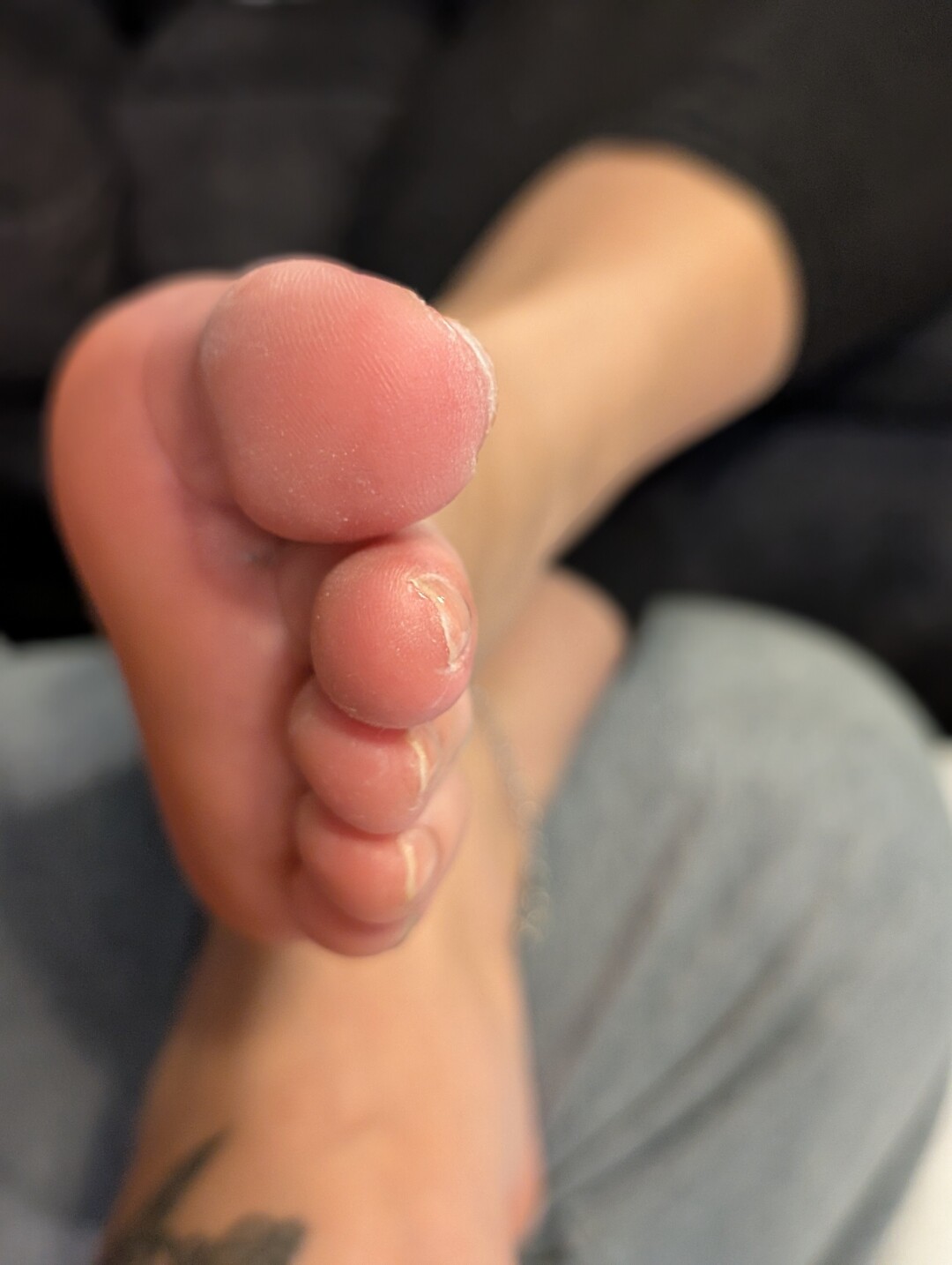 Barefoot Bunny B model art image