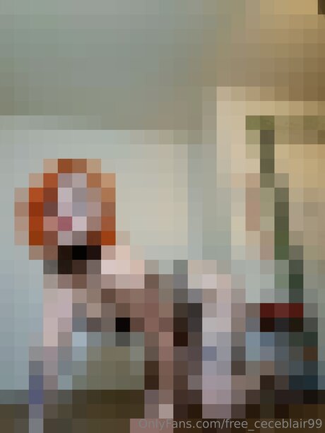 Free Ceceblair99 naked actress gallery