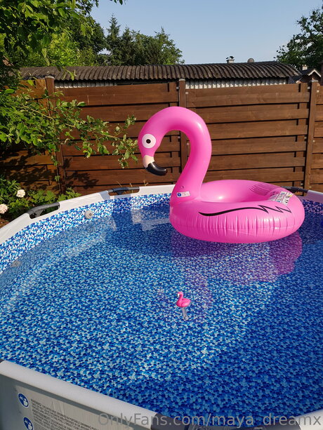 Maya Dreamx pornstar sex pic