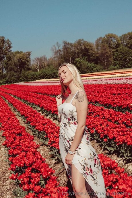 Maya Dreamx porn actress gallery