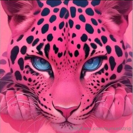 Sunsetstrip free star images