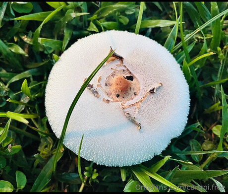 Cdrtroi Free sexy actress images