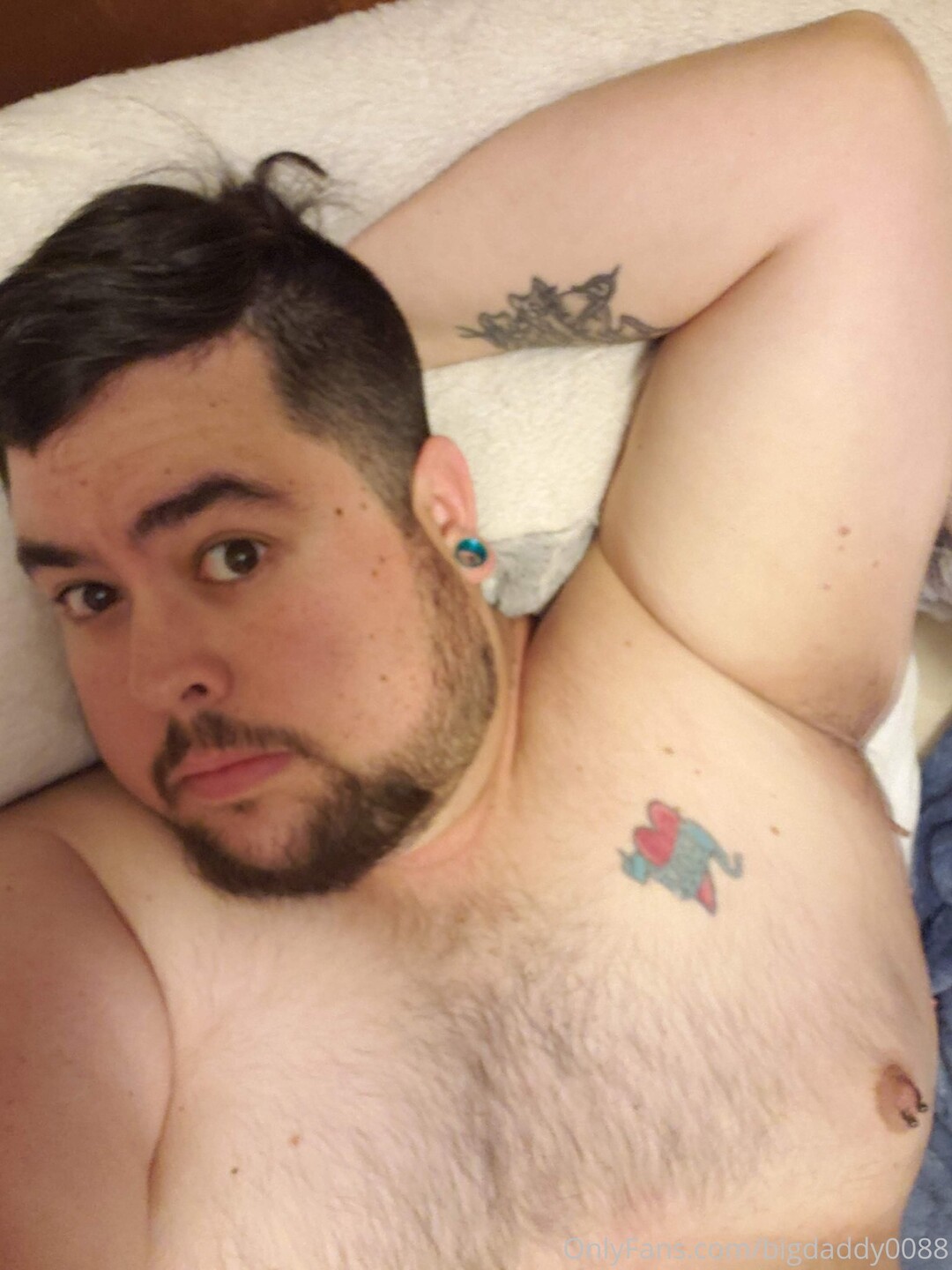 Bigdaddy0088 sexy model picture
