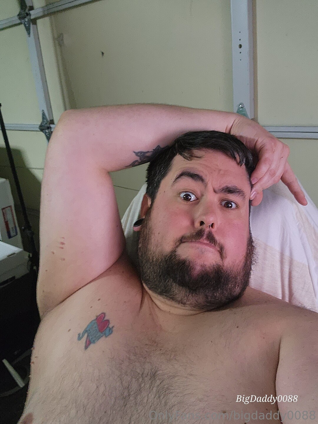 Bigdaddy0088 pornstar top image