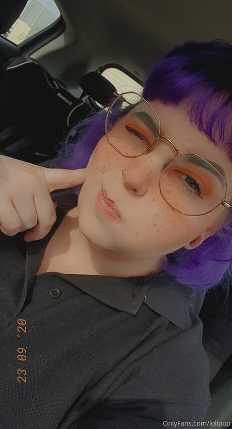 Lolipup model perfect galleries