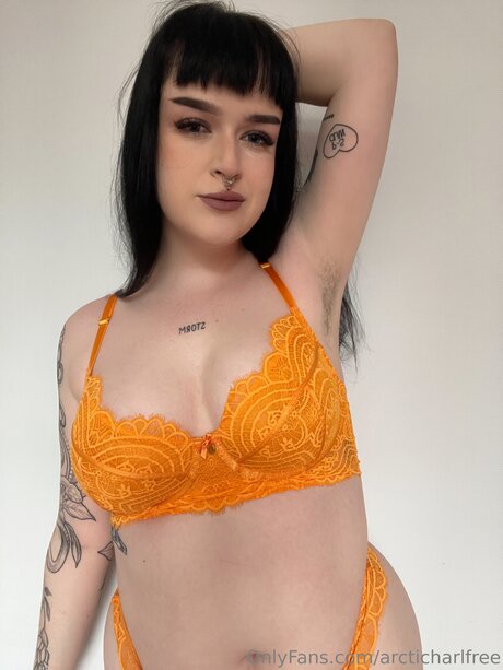 Otherarcticharl porn star galleries