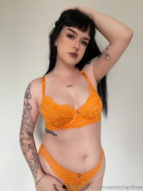 Otherarcticharl profile image