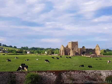 blowjob gay onlyfans beautiful pictures