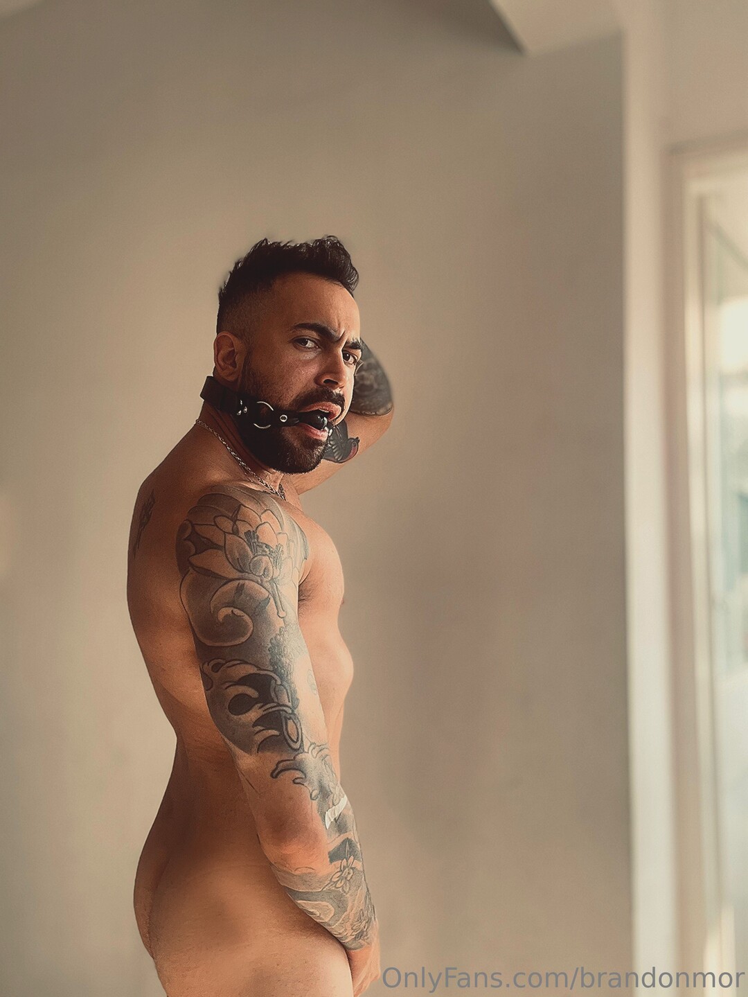 Brandonmor pornographic model pictures