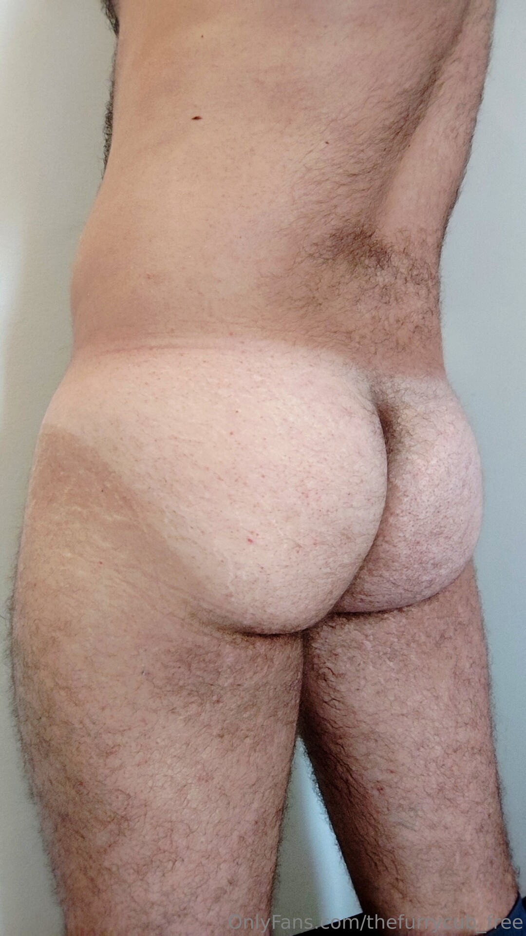 Thefurrycub Free pornstar erotic archive
