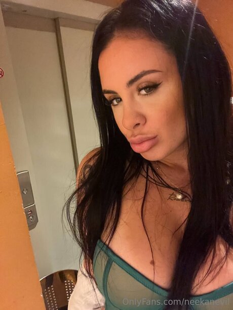 Neekanevil high quality model pic