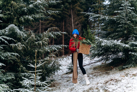 Larahook star free image