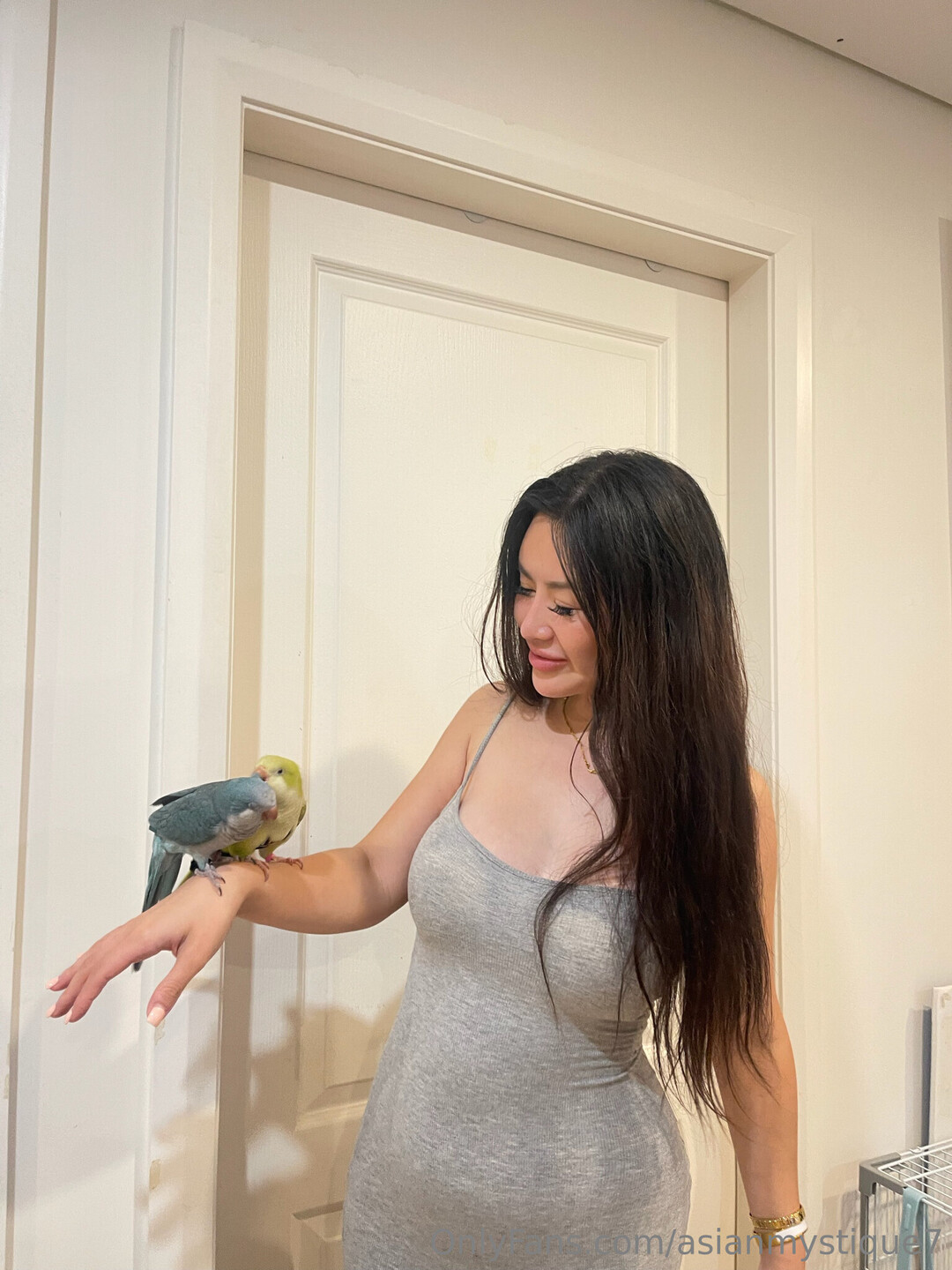 Asianmystique7 perfect pornstar image