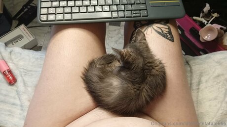 Lafemmefatale666 model porn galleries