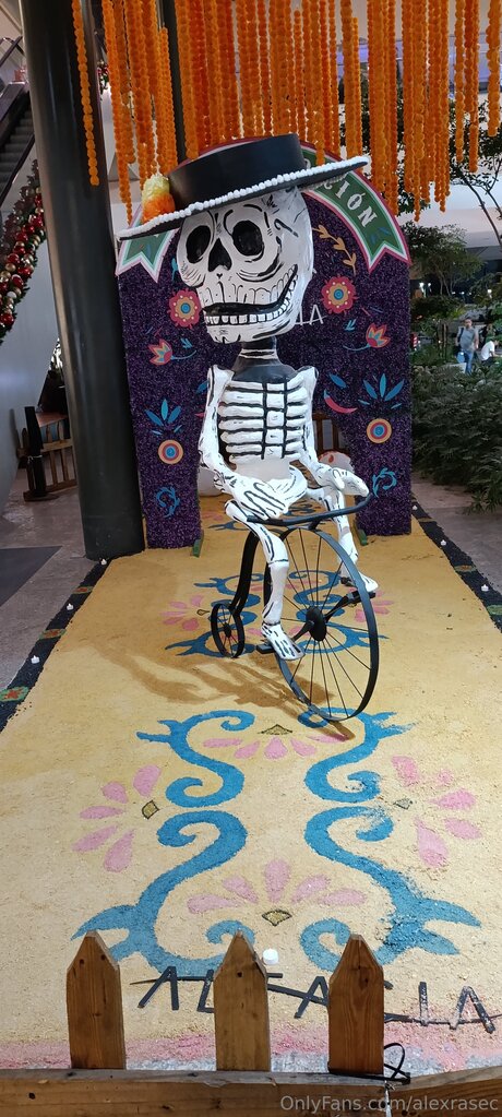 Alexrasec star perfect img