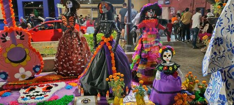 Alexrasec best actress pictures