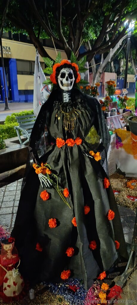 Alexrasec pornstar free gallery