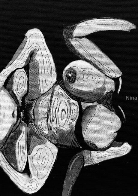 mmf onlyfans hot sex pics