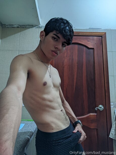 Bad Mustang high quality star photo