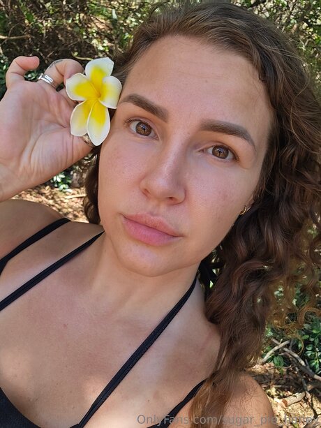 Sugar Pie Honey model adult images