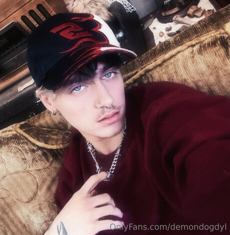 Demondogdyl star top photos