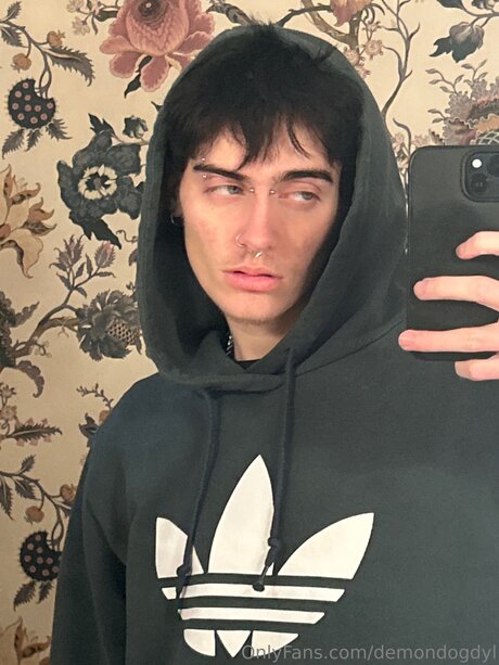 Demondogdyl star top img