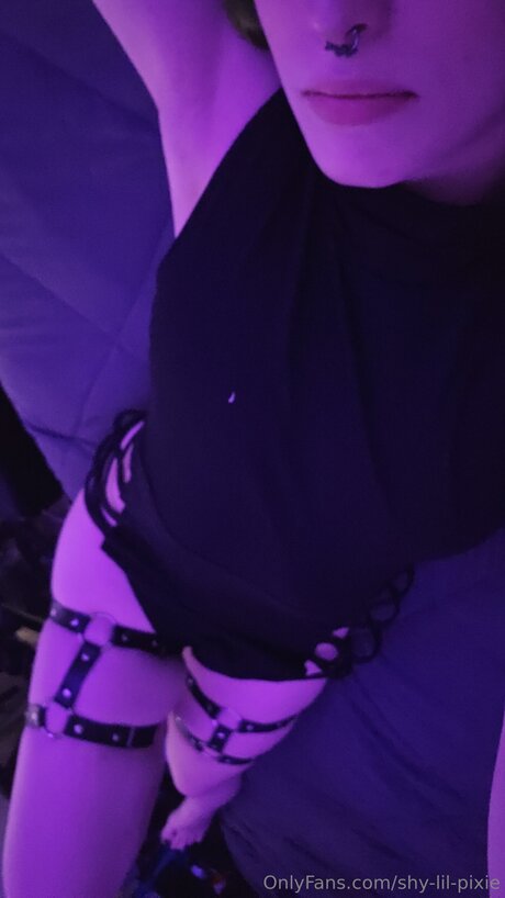 Shy Lil Pixie pornstar art pictures