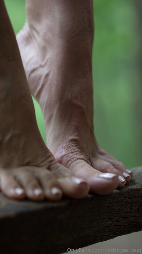 Harisnyas Csaj erotic actress archive