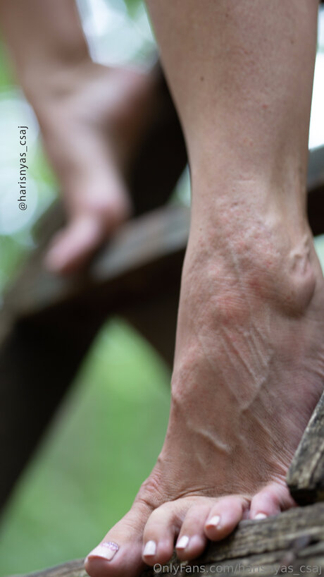 Harisnyas Csaj sexy pornstar photos