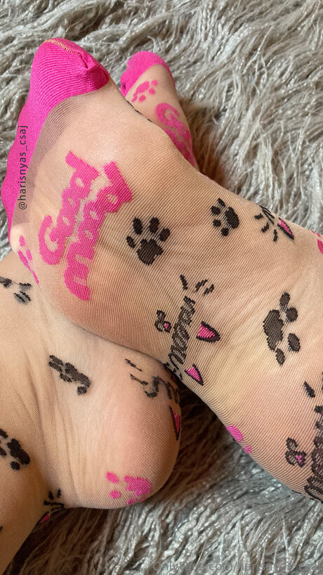 Harisnyas Csaj sex actress pic