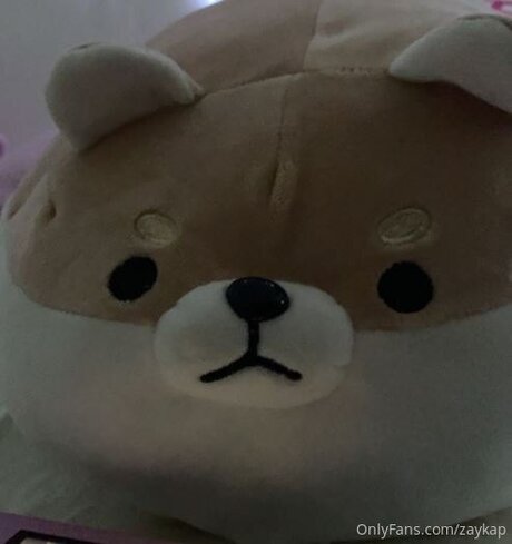 Zaykap pornstar adult gallery