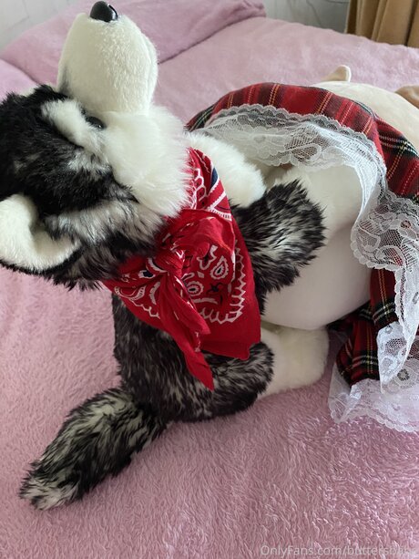 Zaykap sexy star gallery