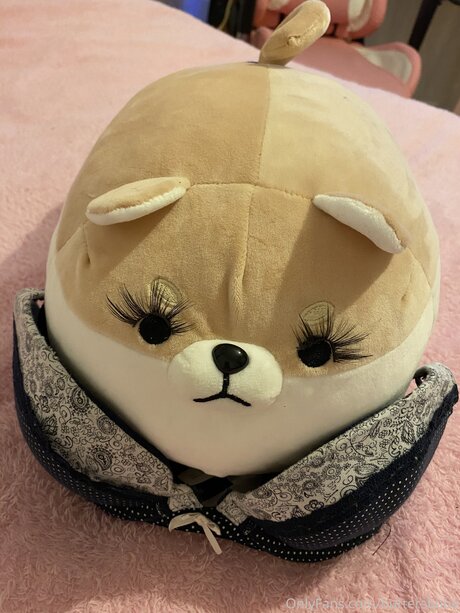 Zaykap star best pic