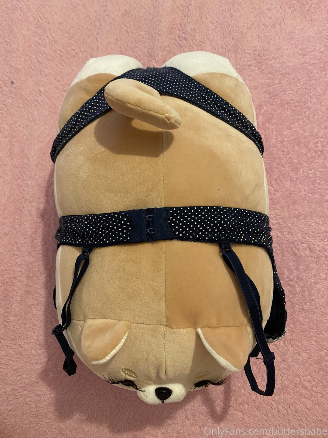 Zaykap star adult img