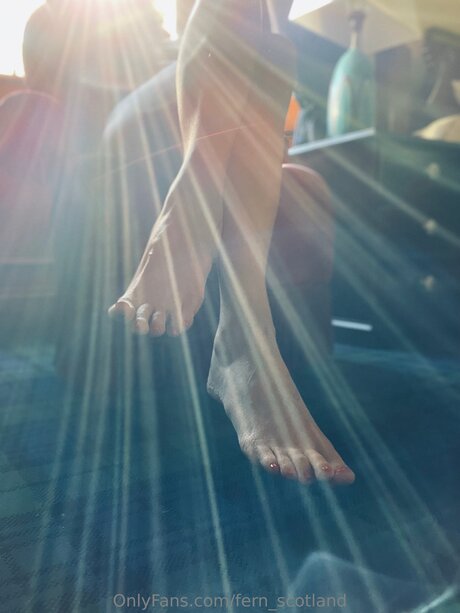 Fern Scotland model archive