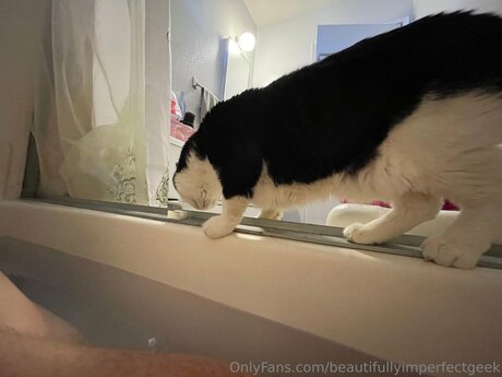 Beautifullyimperfectgeek model best pics